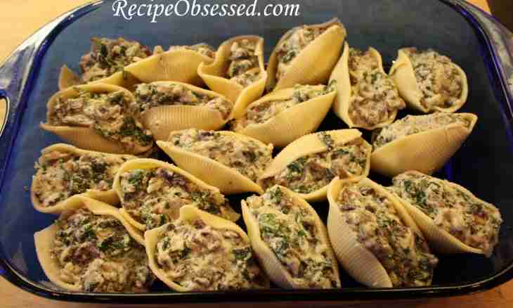 The shell macaroni products stuffed with cheese and spinach